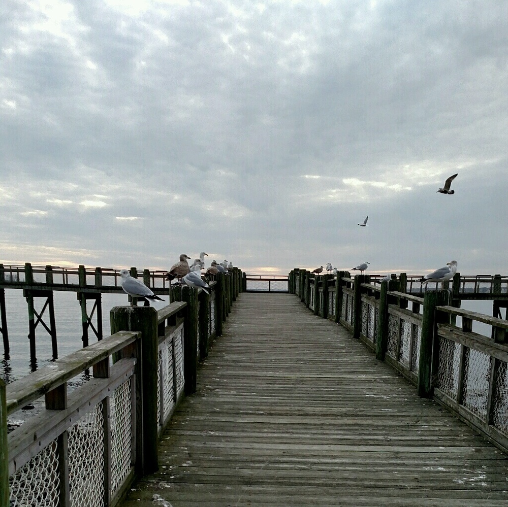 Meet your Posher, Erica